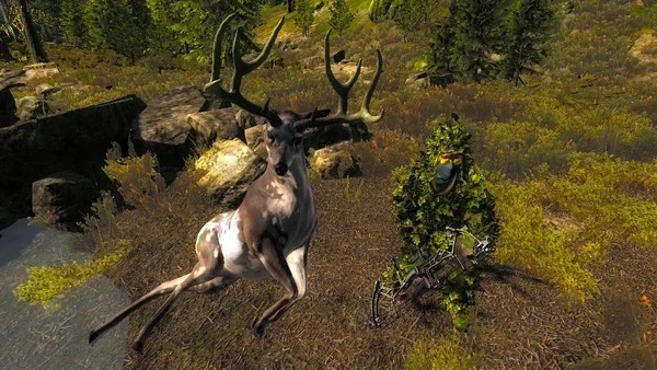 Cachuera piebald mule 230