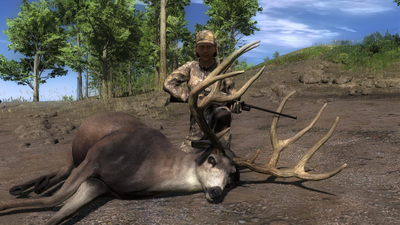 Trophy mule deer