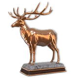 Roosevelt Elk