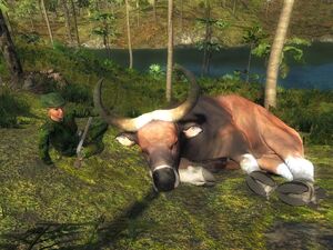 Banteng, TheHunter: Call of the Wild Wiki