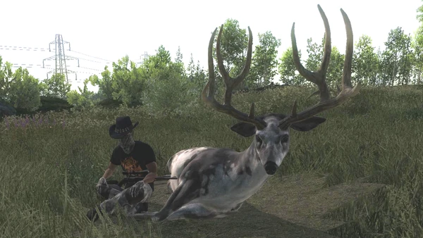Chase1234 rares 1