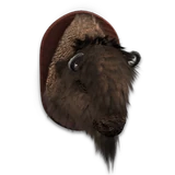 SummerFiesta 2016 Bison