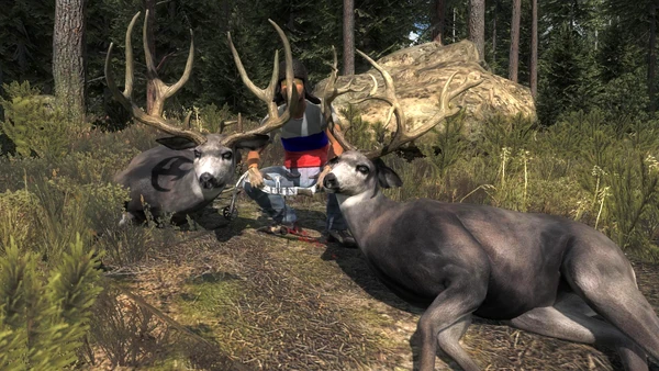 CoolSkeleton96 rares 2