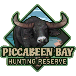 Piccabeen Bay