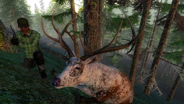Radukukiller piebald elk 394