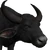 Water Buffalo