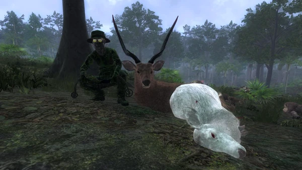Ogruls rares 1