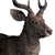 Rusa Deer