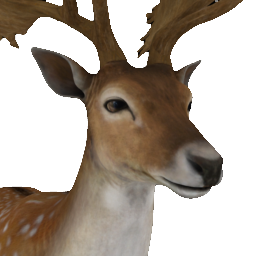 https://static.wikia.nocookie.net/thehuntergame/images/c/cd/Fallow_deer_male_common.png/revision/latest?cb=20220310135316