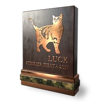 Summerfiesta luck bronze