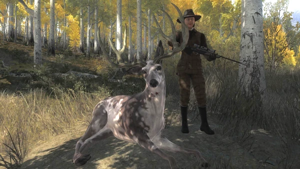 Granti piebald mule 202