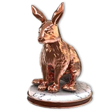 Snowshoe Hare