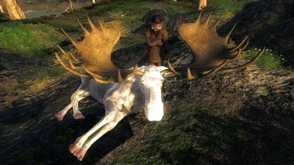 AlloftheAbove albino moose 201