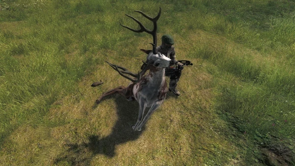 Reggy Sr piebald bt 190