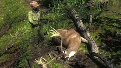 Trophy whitetail deer