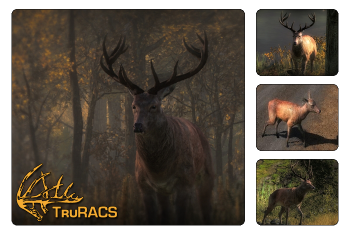 Red Deer Hunter Wikia |