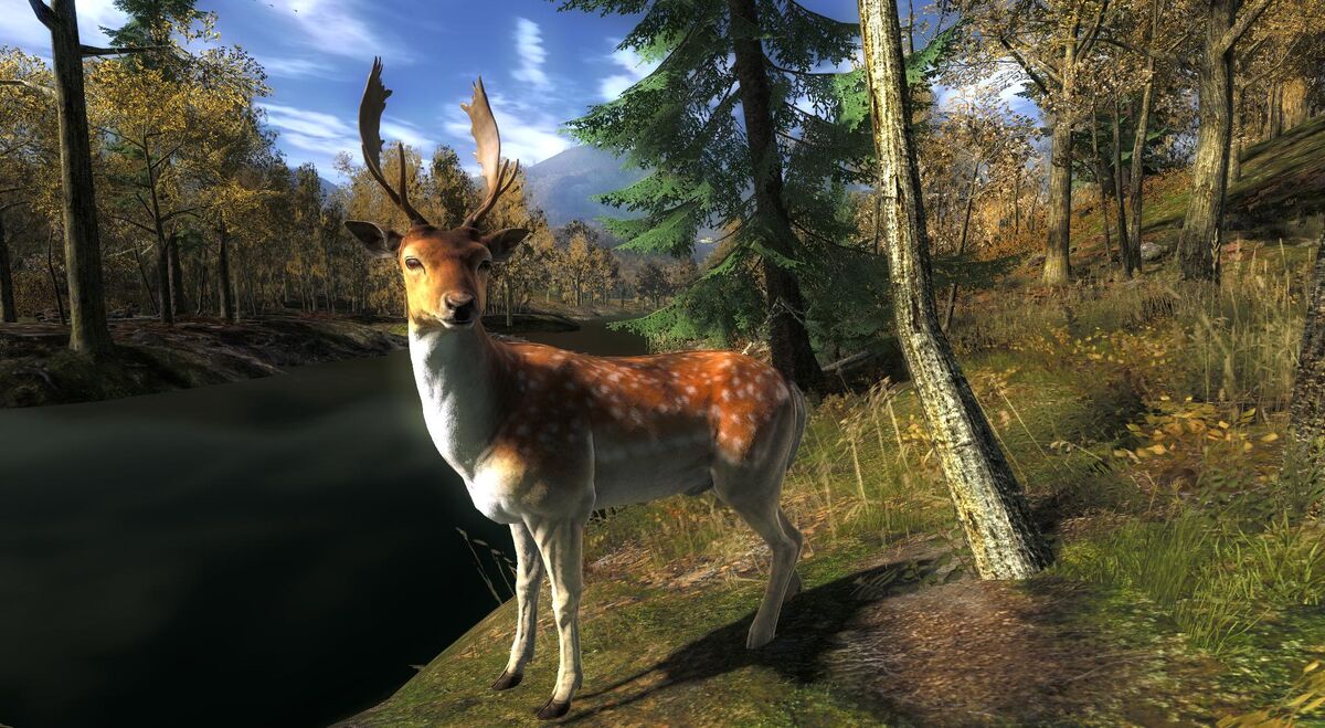 Fallow Deer | The Hunter Wikia | Fandom