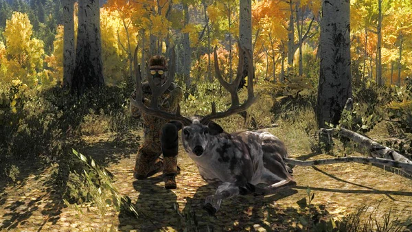 Hynu piebald mule 215