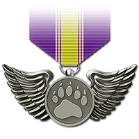 Bird medal hematite