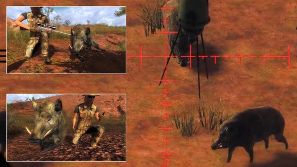 PrincessEmma two large ferals