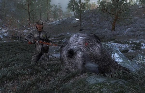 BlindTyldak 28.8 Brown Bear