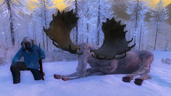 Oskar4358 albino moose 219