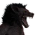 Werewolf male common