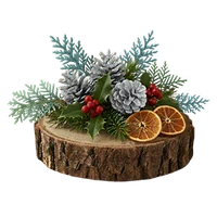 Christmas 2025 comp silver