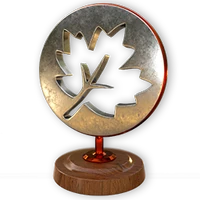 Summerfiesta fall silver