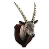 SummerFiesta 2016 Ibex