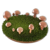 St Patricks 2023 bronze