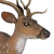 Axis Deer