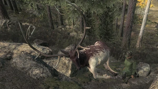 Pouncher rares 1