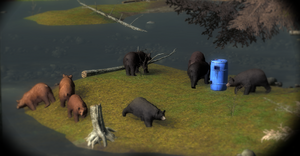 Bear baiting 1