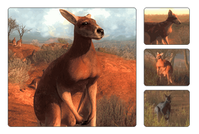 PNSO Noce the Red Kangaroo 201034