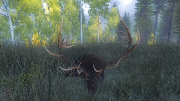 Basko1982 melanistic rmelk 434