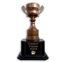 Summer fiesta 2022 content creator bronze