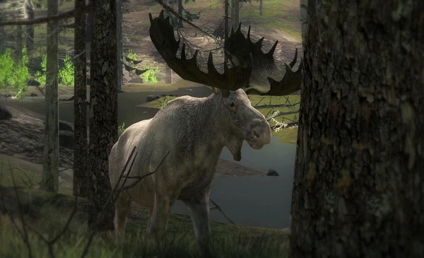 Repsnake 215 Albino Moose