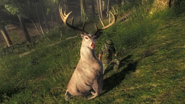 Snack6934 albino wt 181