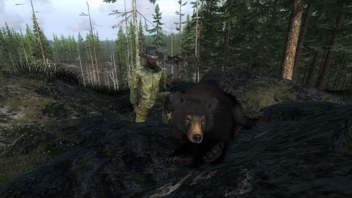 My First Kill Today In SRP and my first rare black bear : r/theHunter