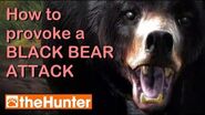 TheHunter Provoking a Bear Attack