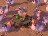 Dodos