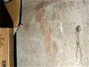 The wall, and accompanying stain.