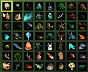 Species.jpg