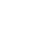 Alpha Section