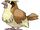 Pidgey