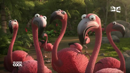 JungleBunch Flamingoes