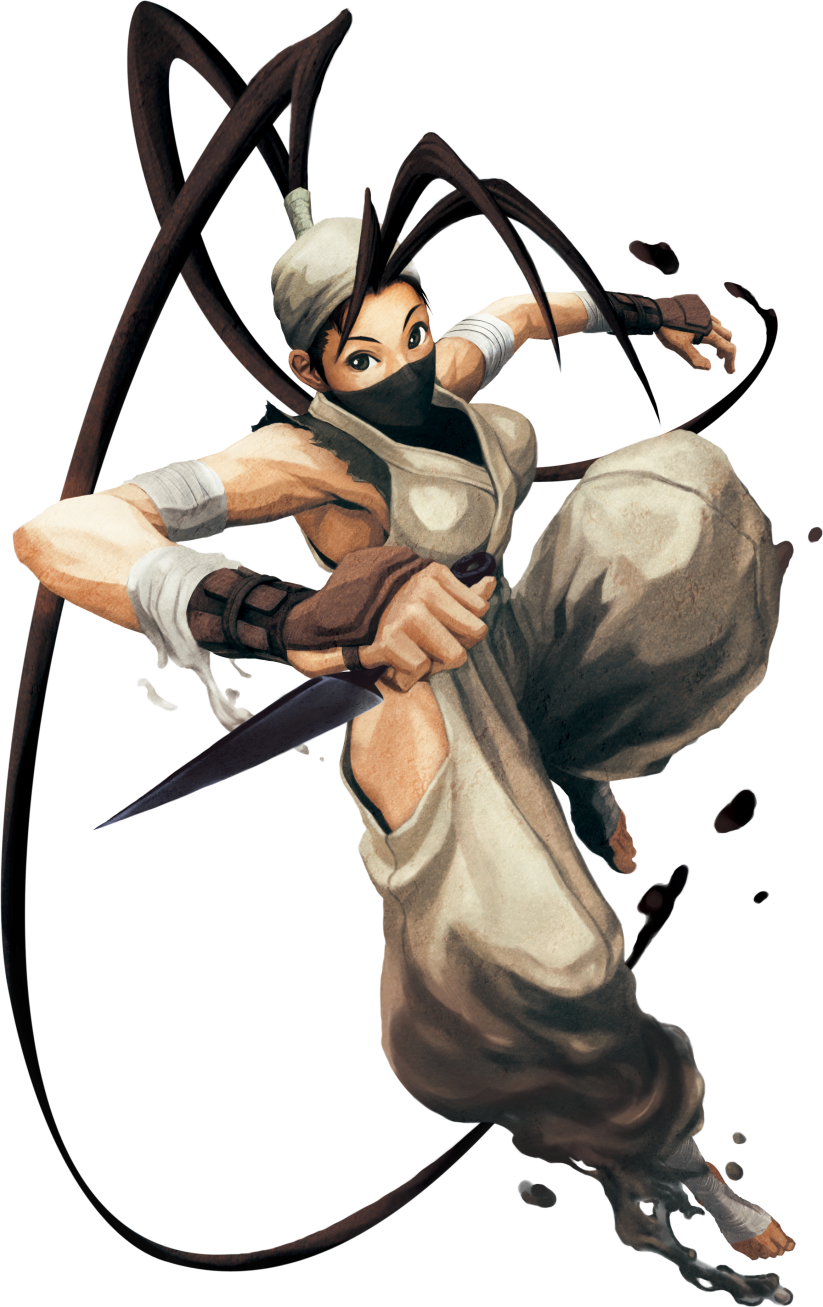 StreetFighter Legends IBUKI SAKURA CAMMY 洋書 - 洋書