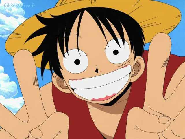 Monkey D. Luffy/Misc., One Piece Wiki