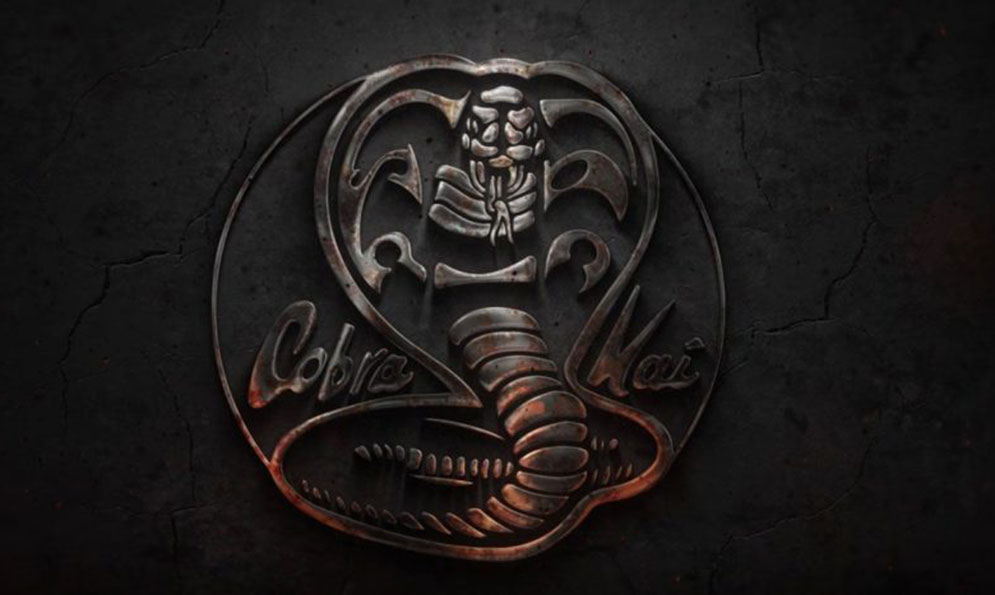 Cobra Kai | The Karate Kid Wiki | Fandom